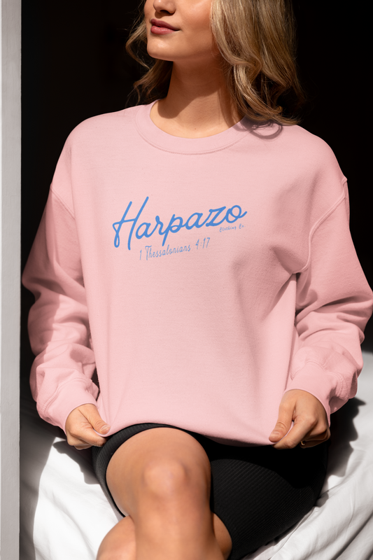 HARPAZO LADIES ROSE COLORED SWEATER